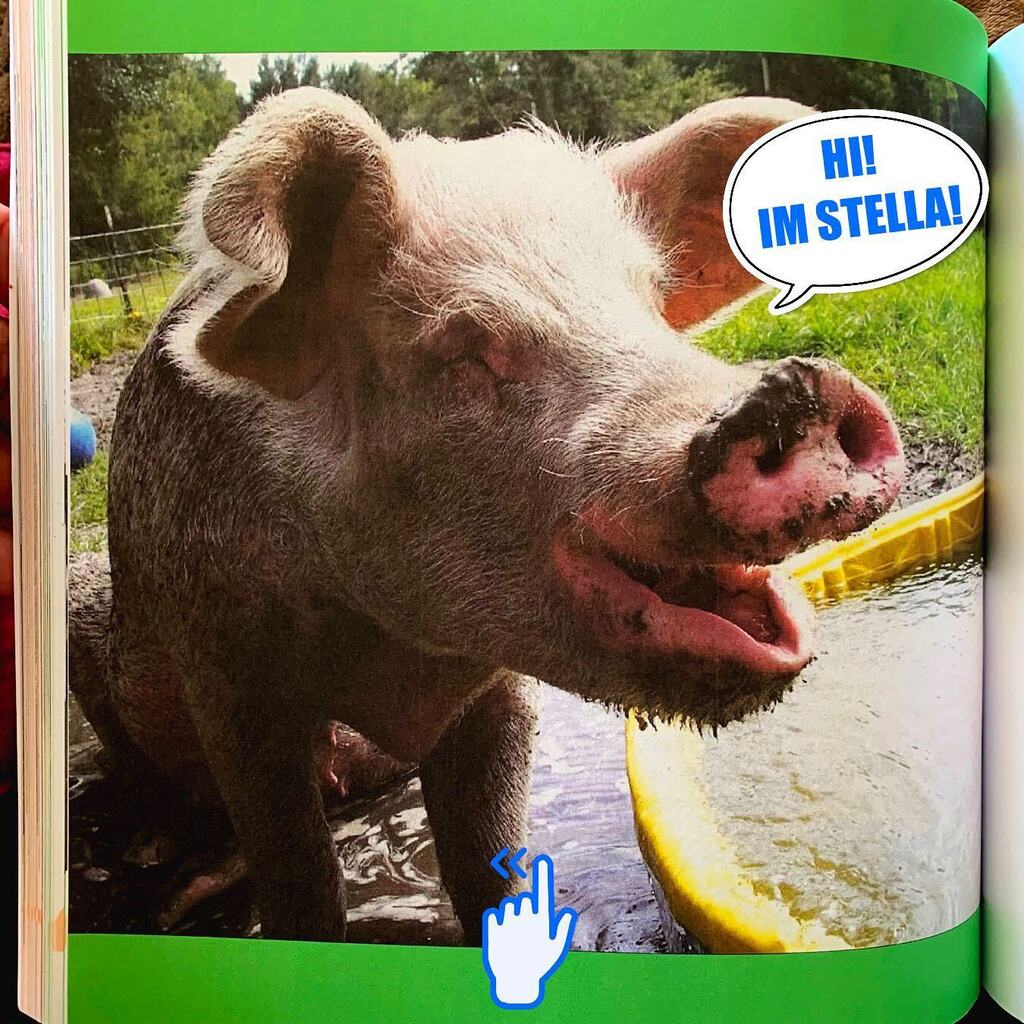 Animal Hero Kids Kind2All Ed.💚 (@AnimalHeroKids) / Twitter Animal Hero Kids Kind2All Ed.💚 (@AnimalHeroKids) / Twitter