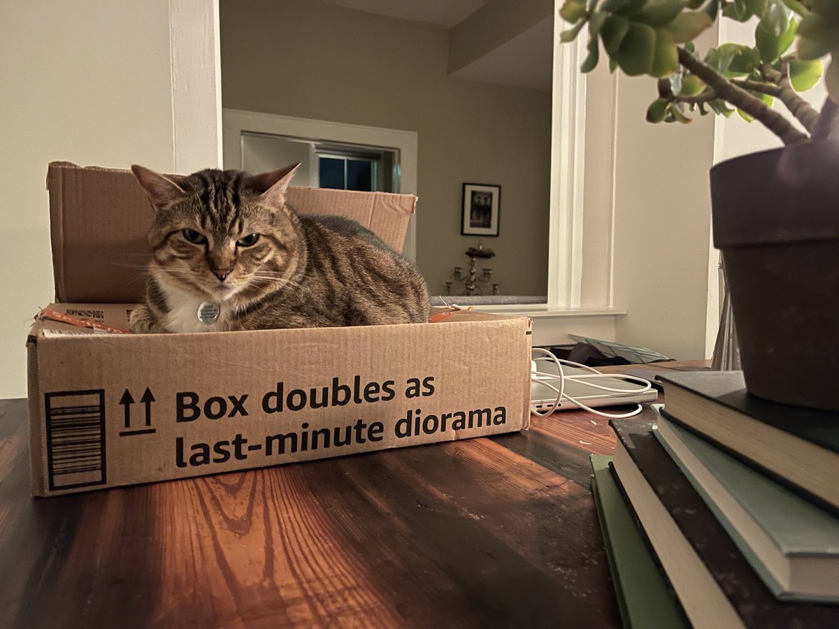 Tim Waldron tweet media