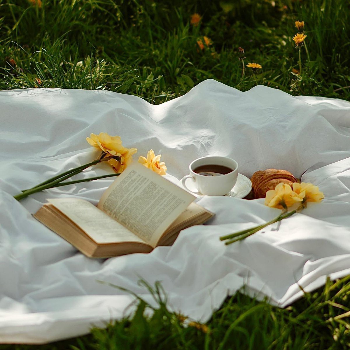 New Book Joy tweet media