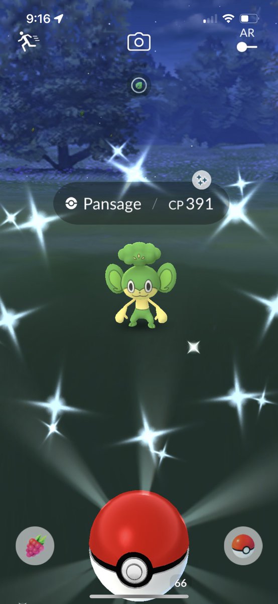 milieva13's tweet photo. I didn’t think I would find this #shiny, but he came home to me! #PokemonGO #catchthemall #ShinyCheck #wildcatch https://t.co/uSVwJq0qFS