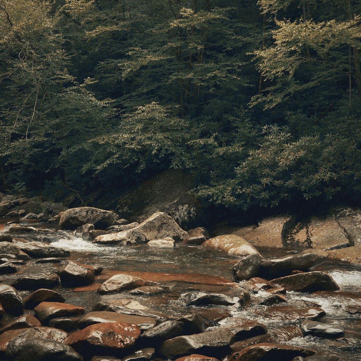 Summertime in North Carolina