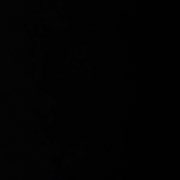 pitcha ysl (@ptcflorx) on Twitter photo 