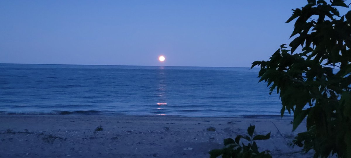 Sunset, moonrise, sunrise, supermoonrise 

Ok time to sleep 😵‍💫😳🤯