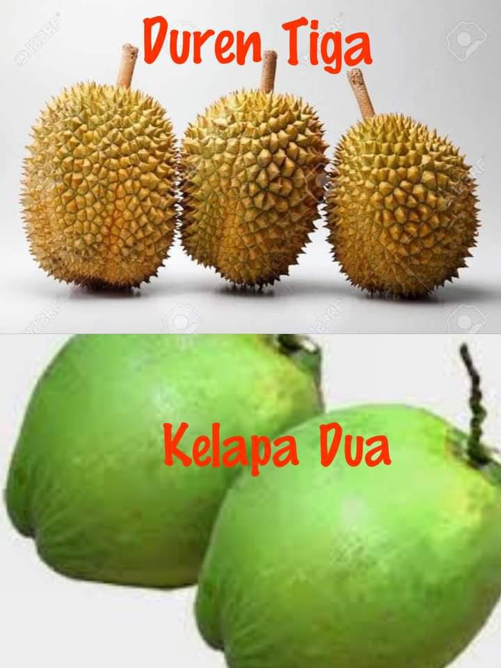 Hilmi28's tweet photo. Buah yang sedang viral &amp; hangat diperbincangkan. Rasanya kadang manis, getir, asam, asin, pedas, hambar. Poko’e rame rasanya. Bagaimana akhir dari rasa buah2an ini, kita simak saja pemirsa… https://t.co/1YUMsDhoPd