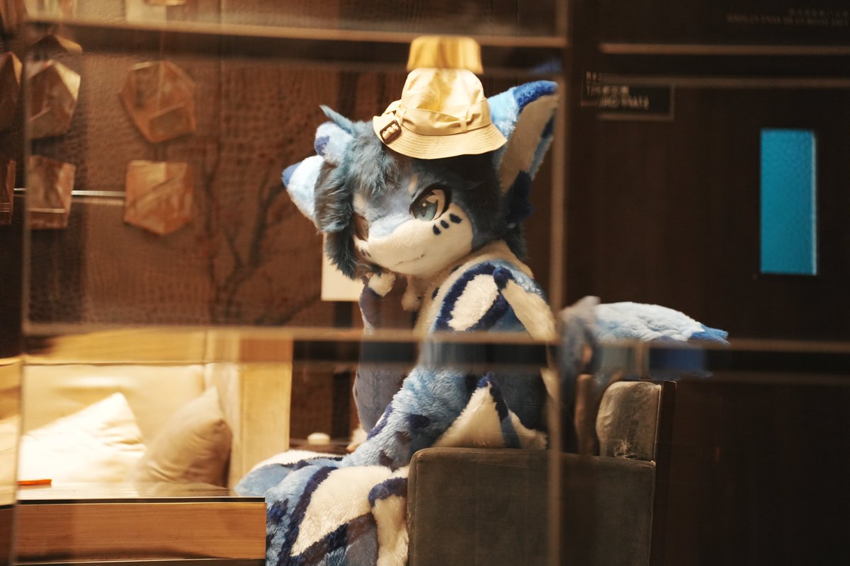 #FursuitFriday 
黑暗中追寻你的背影
暗闇であなたの背をなぞった