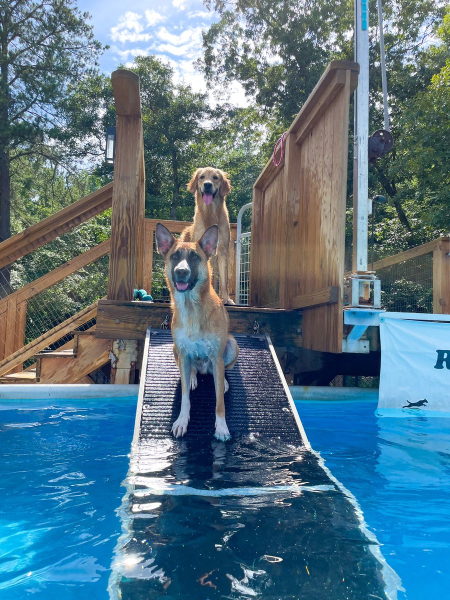 Fun in the pool with Cider’s boyfriend Kraken!