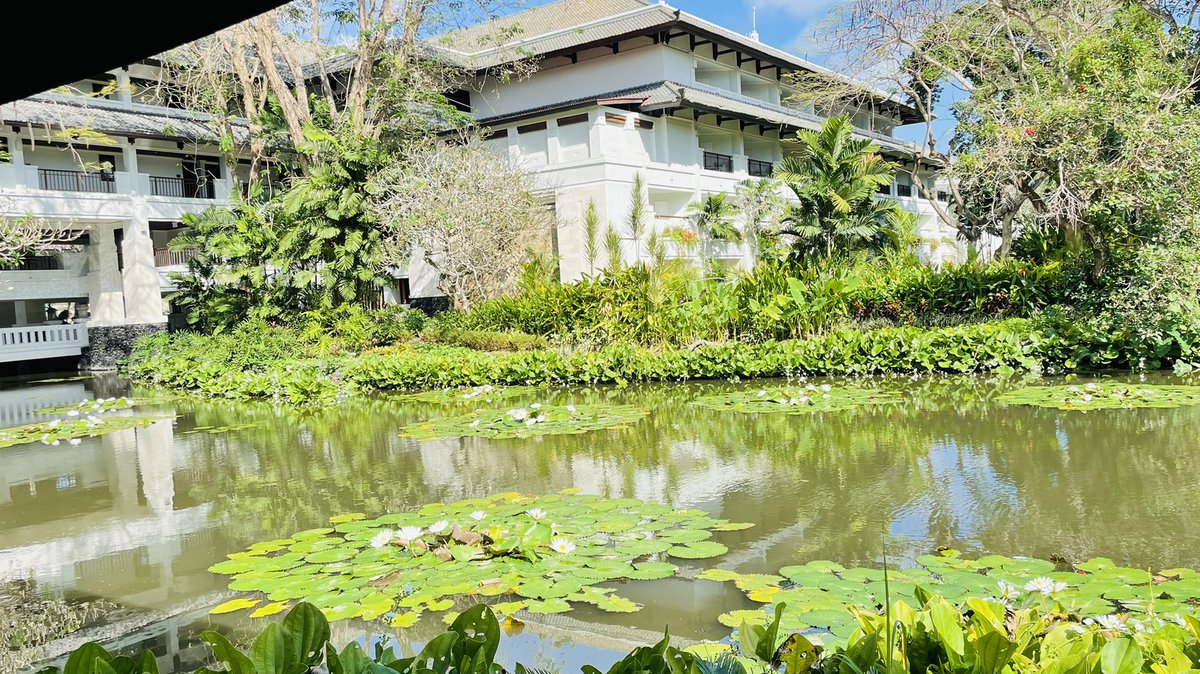 travellerPooja's tweet photo. And who wouldn’t want to wake up to the view like this ….., Good Morning from Bali! Have a fabulous day friends!#NatureBeauty #pristine #Breakfromroutine https://t.co/Krd2Cw4IJ2