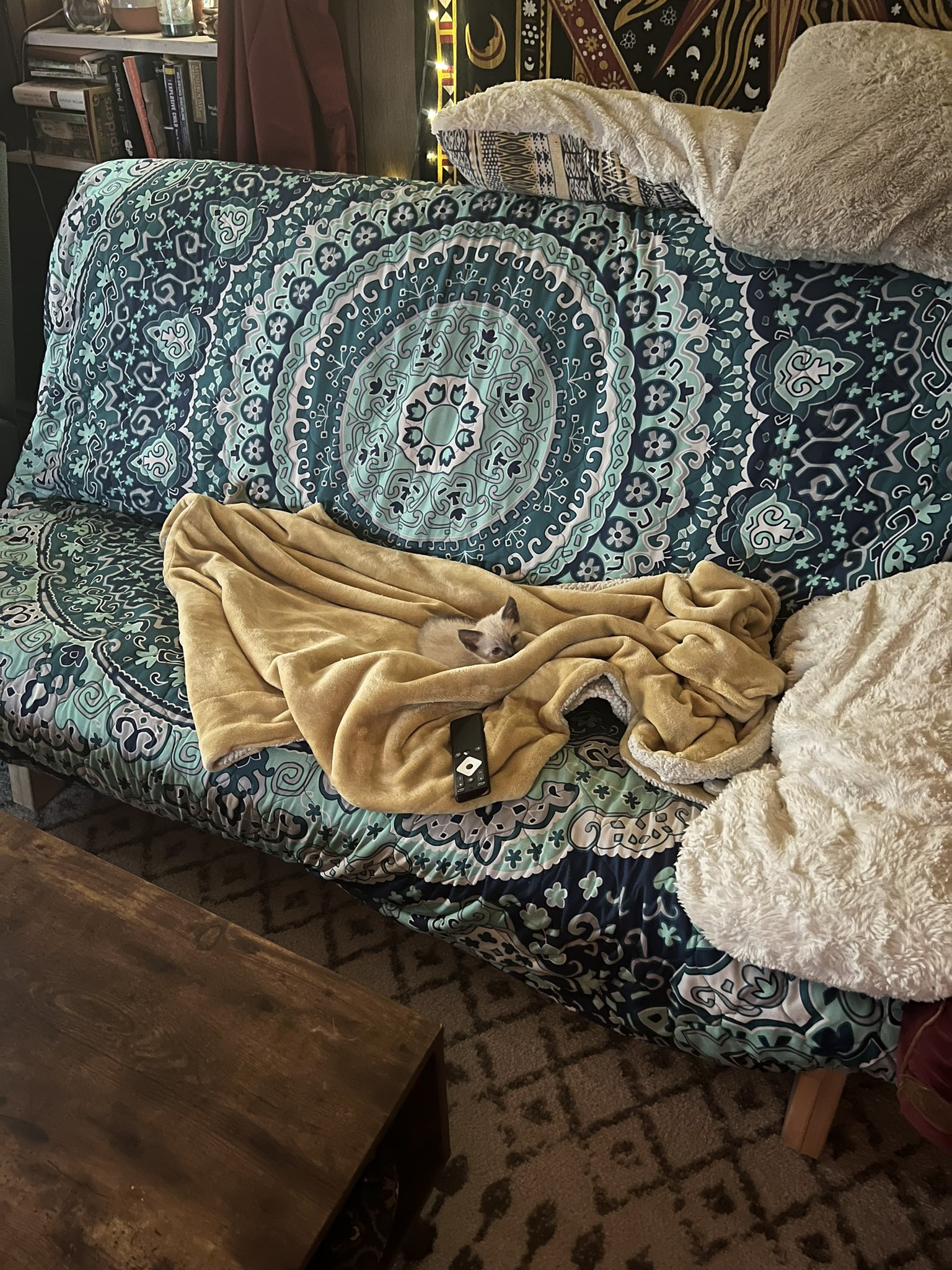 TW Pornstars - 4 pic. Shugah Boogah 🍭. Twitter. I’m literally in love with this little guy 😭. 1: