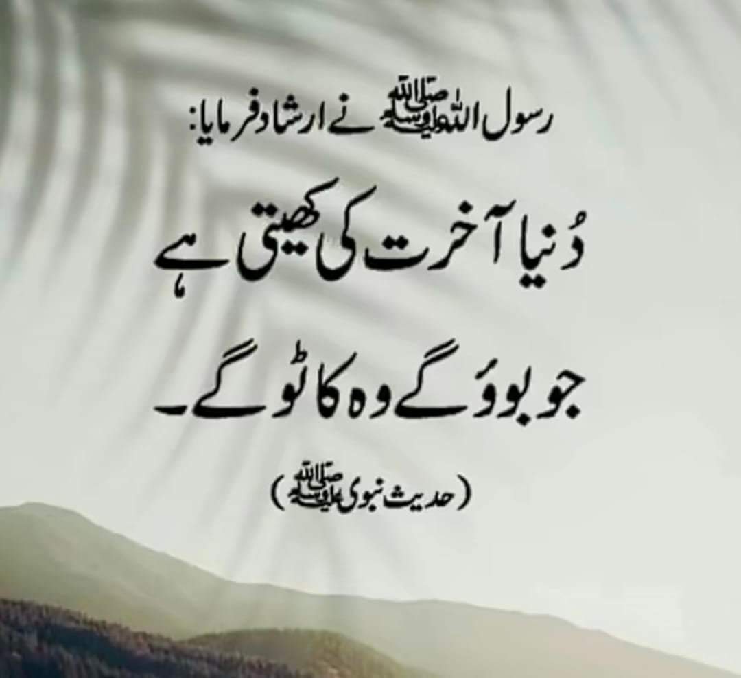 MSN (@shahid6626) on Twitter photo 