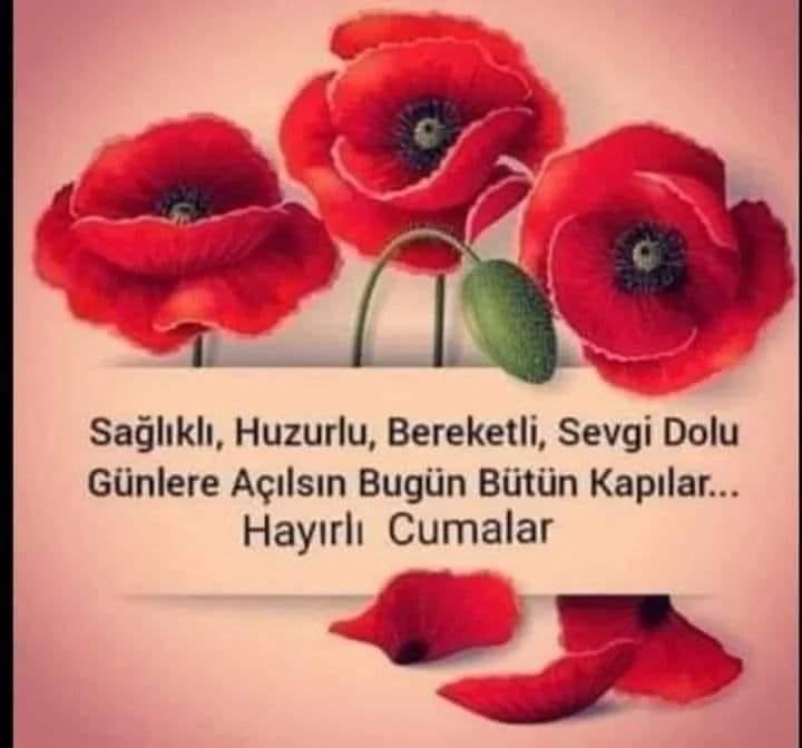 Mineemine (@minecanemine) on Twitter photo 2022-08-12 01:58:21 GÜNAYDINNNNN
Sıcak bir gün doğuşundan daha güzel olan bir şey varsa, o da bizim dostluğumuzdur. Günaydın sevgili dostlar hayırlı cumalar #guenaydin #hayirlicumalar #erkencitayfa GÜNAYDINNNNN
Sıcak bir gün doğuşundan daha güzel olan bir şey varsa, o da bizim dostluğumuzdur. Günaydın sevgili dostlar hayırlı cumalar #guenaydin #hayirlicumalar #erkencitayfa