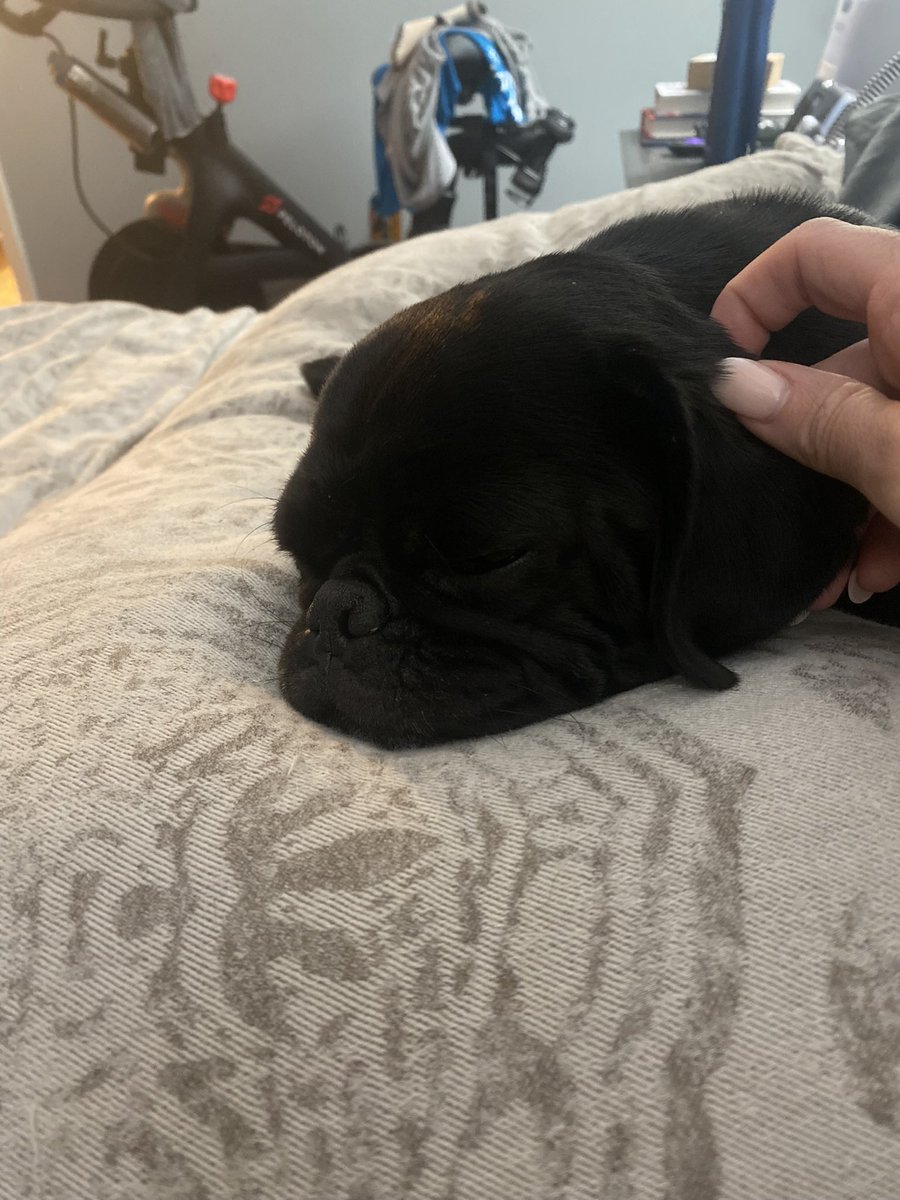 Kristin (@kristinsample) on Twitter photo 