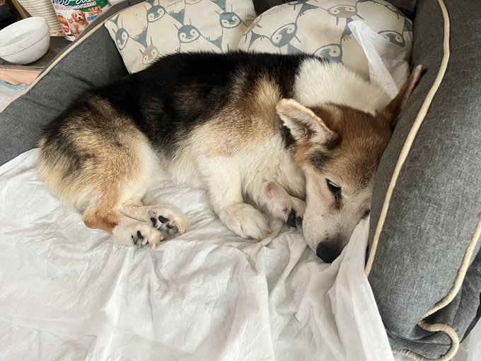 おはようございます。 