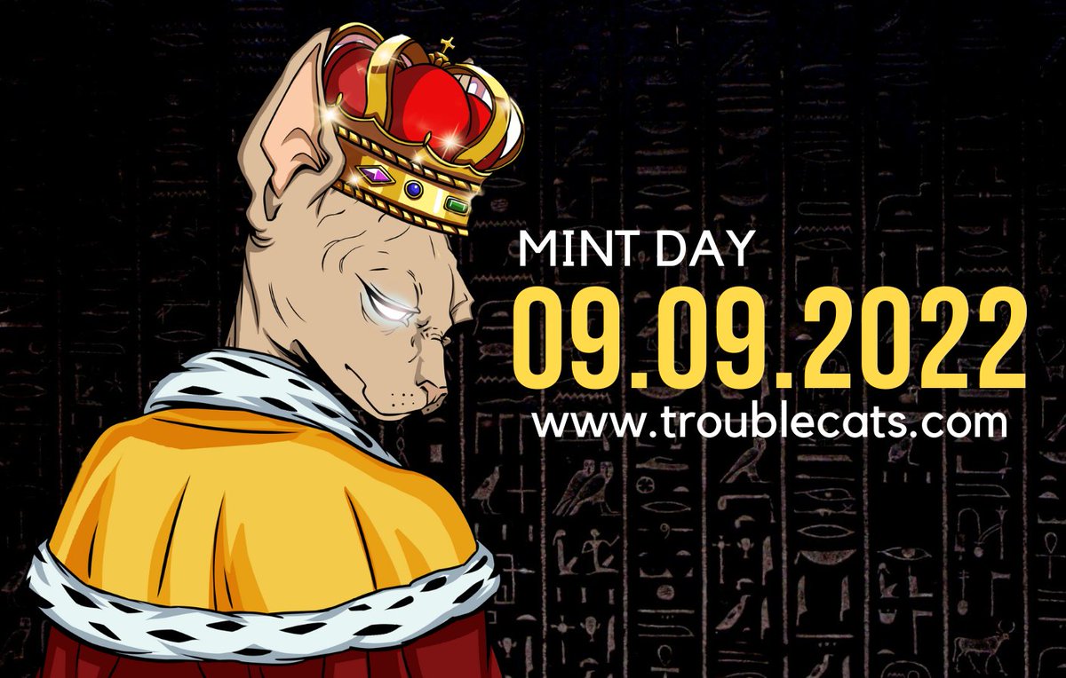 Trouble Cats | Tier 1 Sold Out tweet media