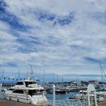 ツイートに含まれる画像