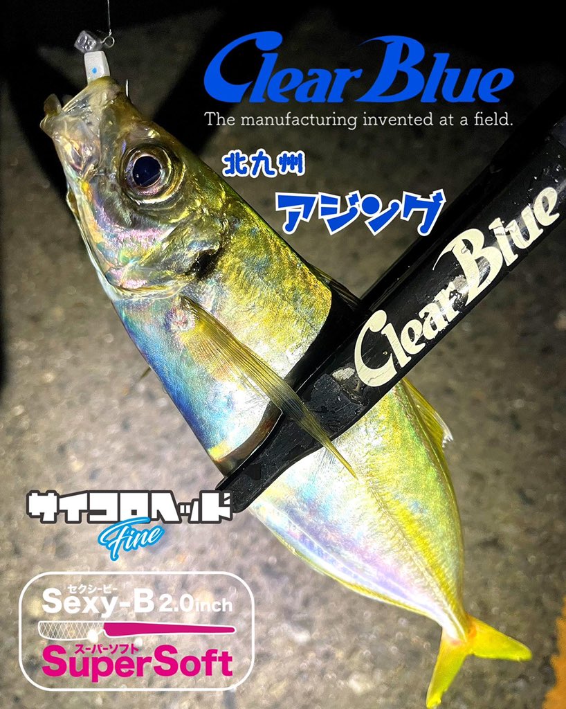 34769円 ＼半額SALE／ ClearBlue-クリアブルー クリスター57