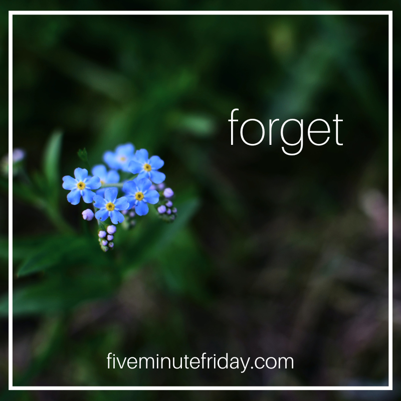 Hi friends! I've been absent from Twitter for a long time, mostly because I forgot my password and was too stubborn to reset it. (Just realized my condundrum was unintentionally related to this week's FMF writing prompt.) ;-) Join the link-up here: fiveminutefriday.com/2022/08/11/fmf… #forget