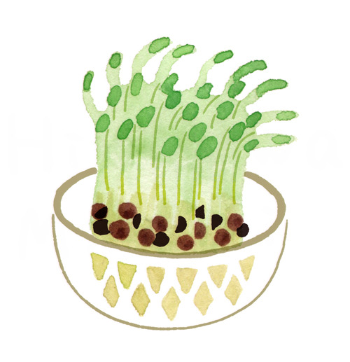 bowl food focus food spring onion vegetable still life seaweed  illustration images