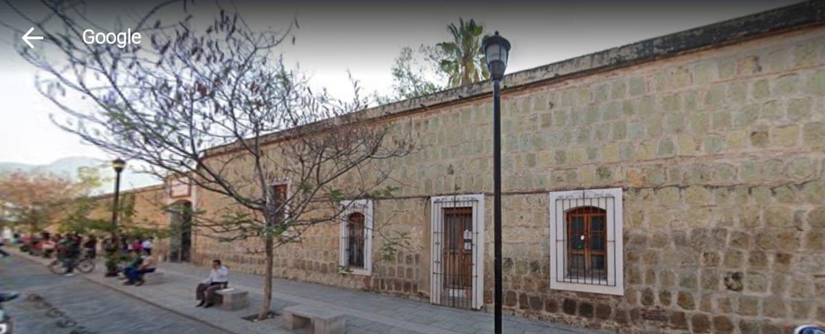 Peatonsito en Oaxaca 🇲🇽 🦜♻️ tweet media