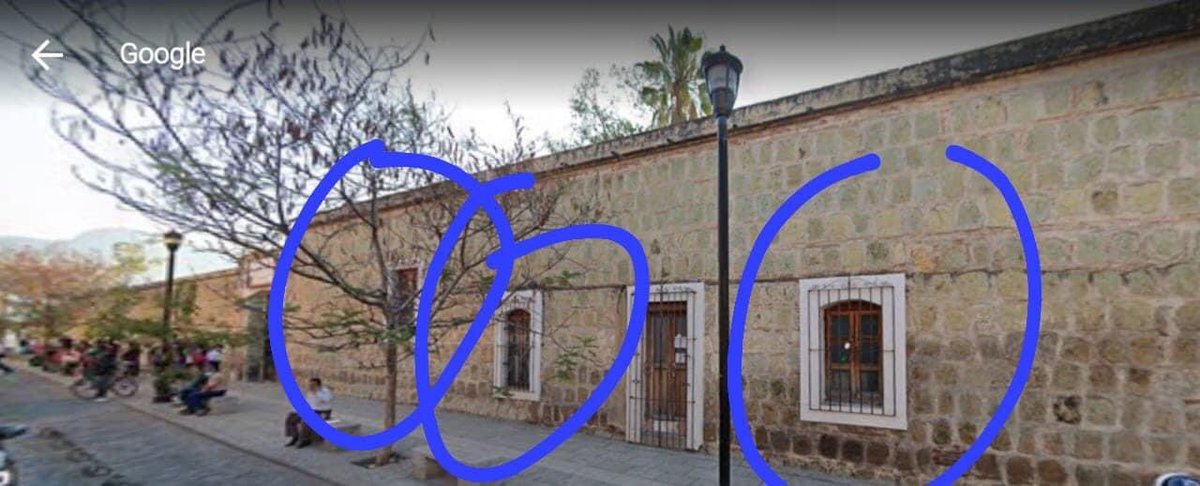 Peatonsito en Oaxaca 🇲🇽 🦜♻️ tweet media