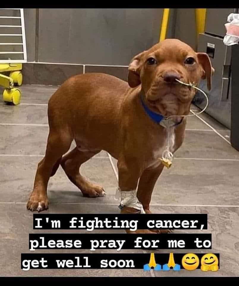 I'm fighting cancer , please pray for me to get well soon 🙏🤍