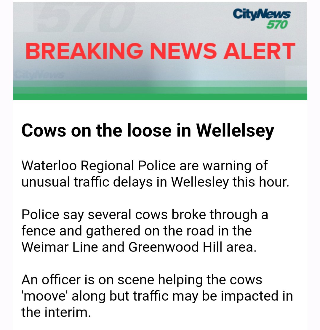 iamdanweber's tweet photo. I love my hood. @RegionWaterloo https://t.co/C1QLtgR4XD