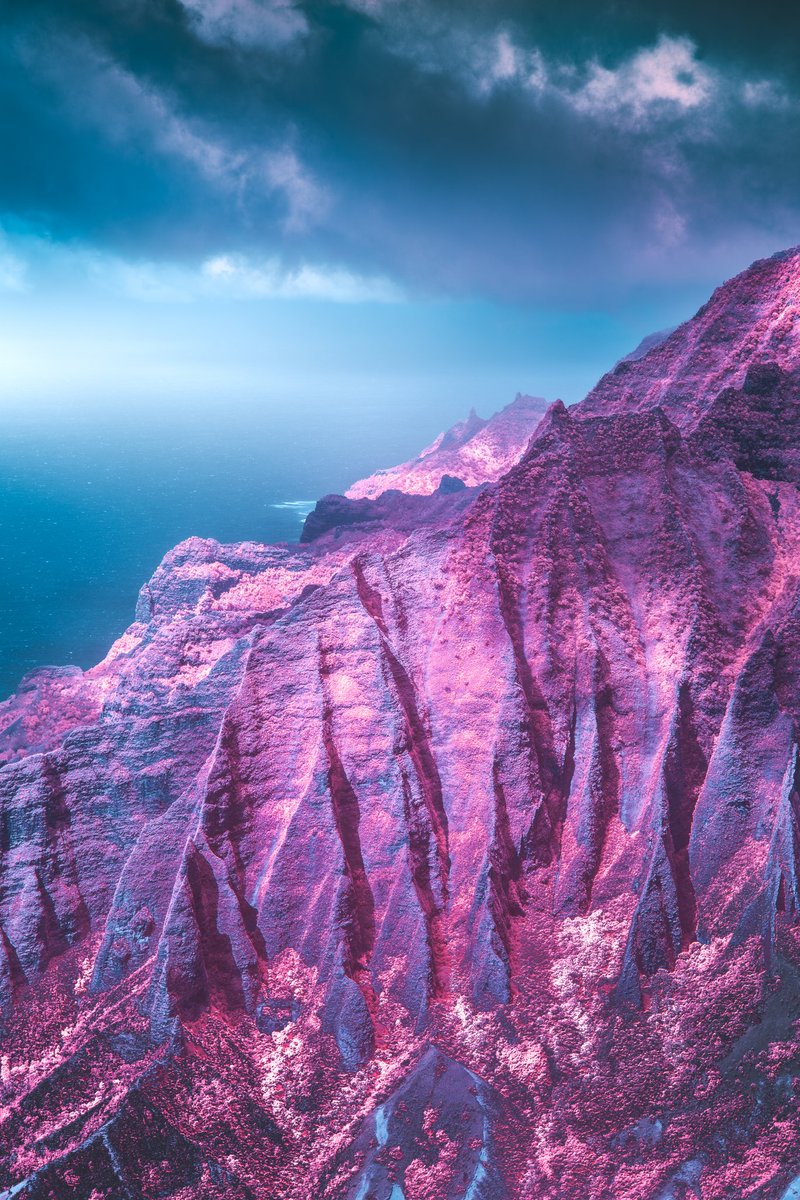 Zach Doehler tweet media