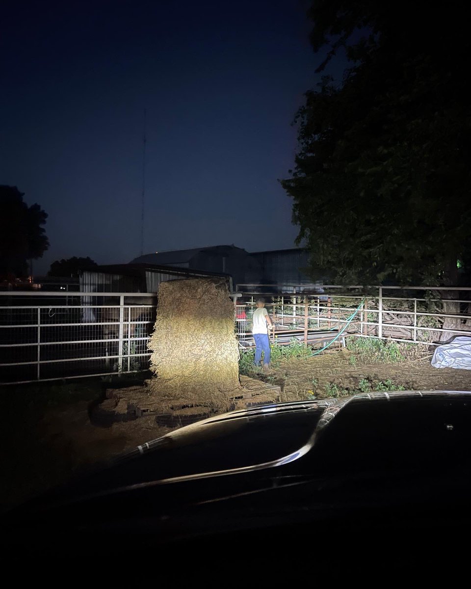 dragginSHco's tweet photo. This is what dreams are made of. My boy was up at 5 tending to the ranch and all his horses before class this morning. You won’t find but a handful of kids his age up that early before school I’m just grateful he is one of them. https://t.co/LFiWzAb4lM