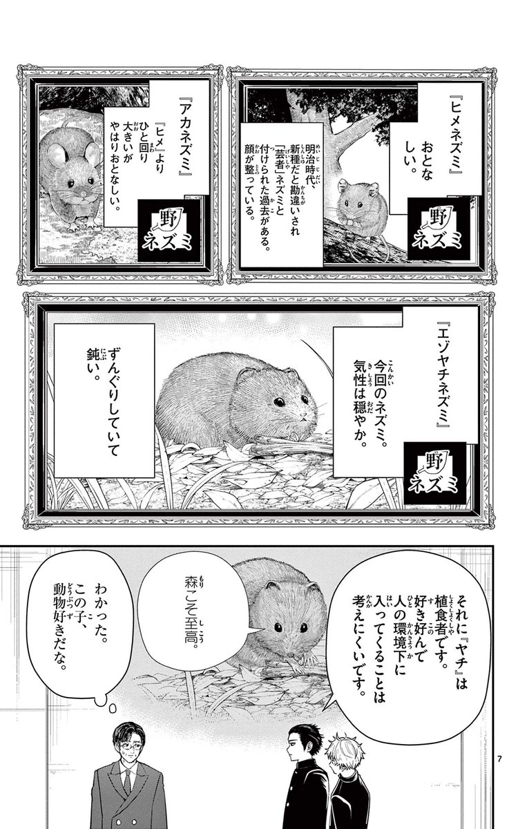 ネズミの話でわちゃわちゃ盛り上がるお話🐭 