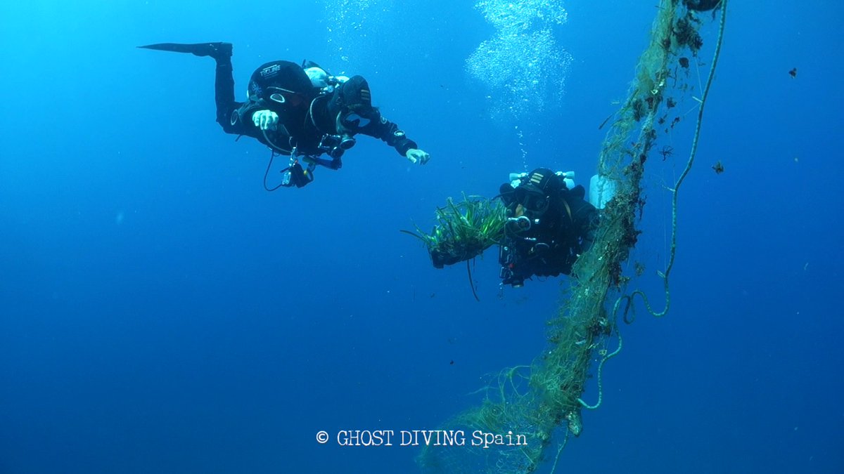 Ghost Diving (@ghostdivingorg) on Twitter photo We found Posidonia #seagrass! 🌿
The net retrieved by <a href="/ghostdivinges/">Ghost Diving Spain</a> ripped out some of the valuable plants from the #seafloor 💢
They are now being cared for so they can be #replanted soon! 🌱
<a href="/healthyseas_org/">Healthy Seas</a> <a href="/kraken_dive/">KrakenDive</a> <a href="/raul_krakendive/">Raul_KrakenDive</a> #ghostdiving #globalmission #charity We found Posidonia #seagrass! 🌿
The net retrieved by <a href="/ghostdivinges/">Ghost Diving Spain</a> ripped out some of the valuable plants from the #seafloor 💢
They are now being cared for so they can be #replanted soon! 🌱
<a href="/healthyseas_org/">Healthy Seas</a> <a href="/kraken_dive/">KrakenDive</a> <a href="/raul_krakendive/">Raul_KrakenDive</a> #ghostdiving #globalmission #charity
