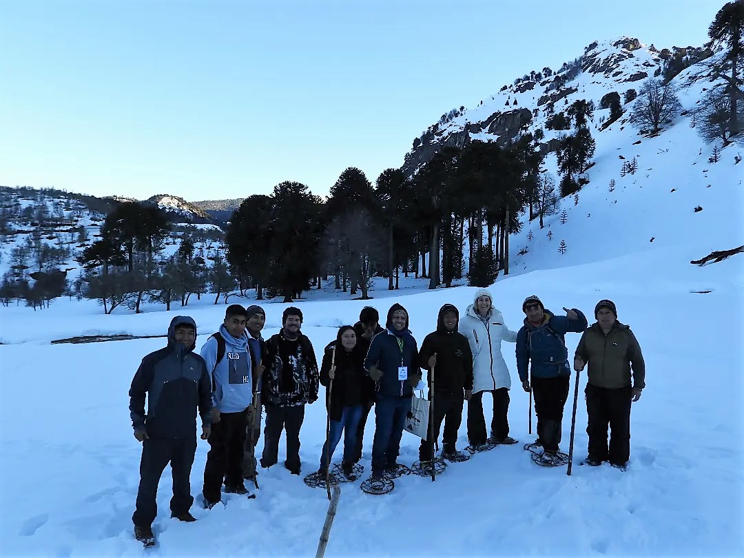 Geoparque Kütralkura tweet media