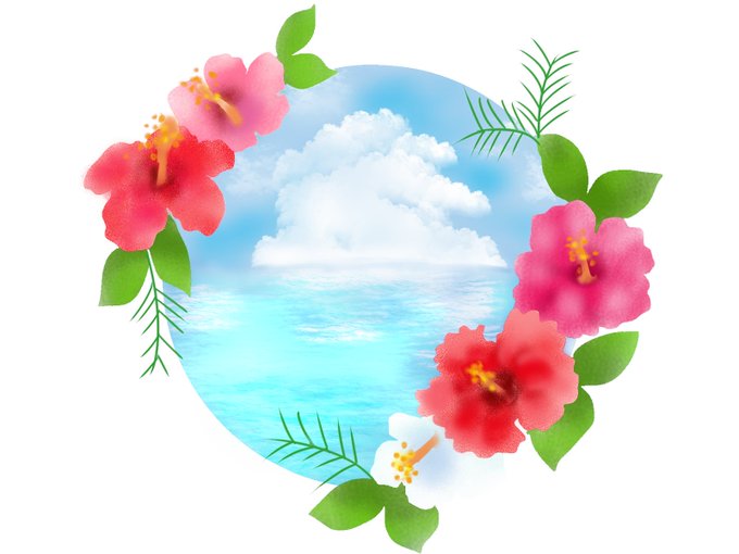 「hibiscus white background」 illustration images(Latest)