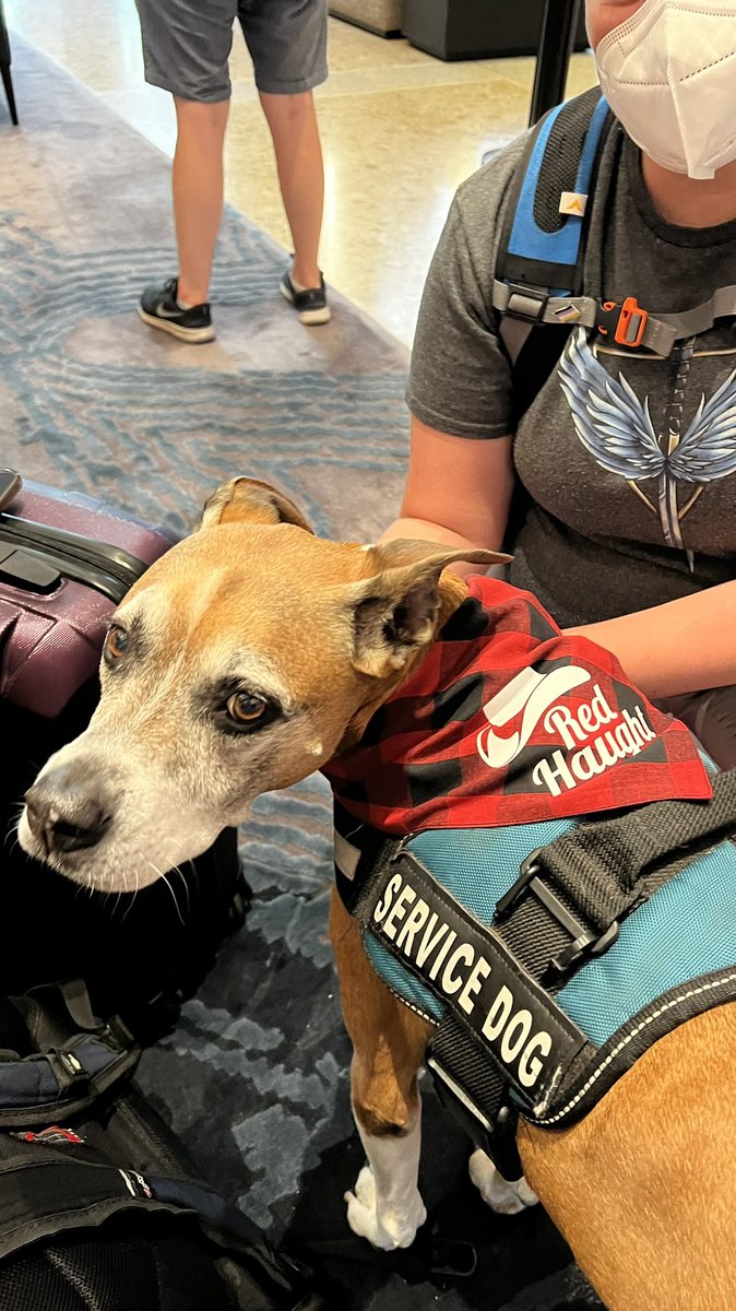 kindnessuntamed's tweet photo. BecAue @SirRedkin3 and I have spent countless hours at cons together, I made him an one of a kind “Red Haught” bandana 😘 https://t.co/1Hv3BLeTvP