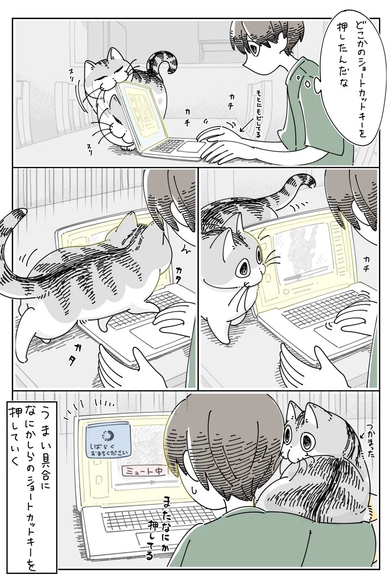 パソコンで動画を視聴中、やって来た猫がキーボードの上を歩き･･･！可愛くて癒される猫漫画！