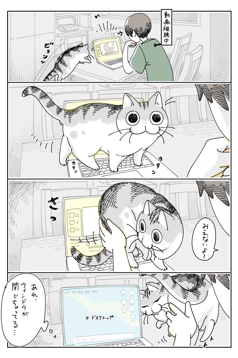 パソコンで動画を視聴中、やって来た猫がキーボードの上を歩き･･･！可愛くて癒される猫漫画！