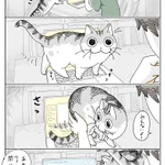 パソコンで動画を視聴中、やって来た猫がキーボードの上を歩き･･･!可愛くて癒される猫漫画!