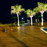 ツイートに含まれる画像