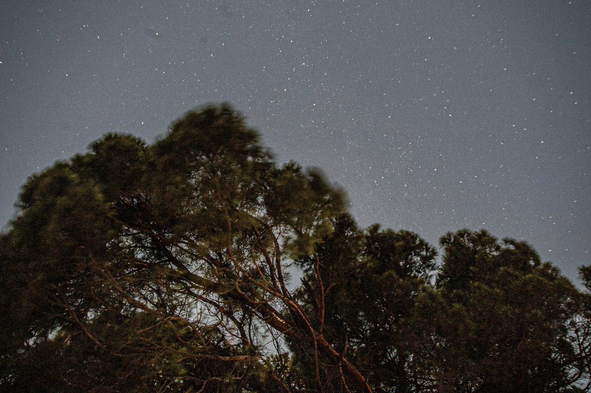 estrellas de noche de lluvia 

5:01 🫶🏼
