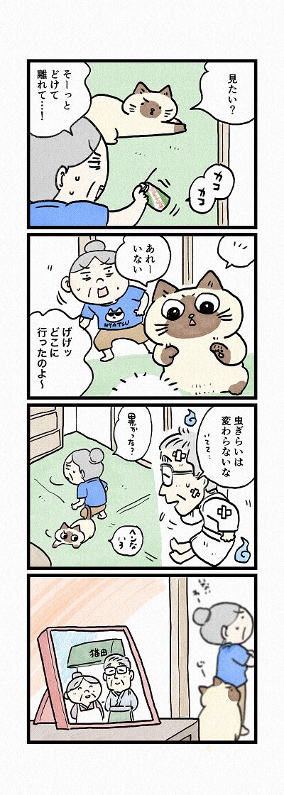 最終話間近!なんとあの方の登場です～!
第179話「こっそり ただいま。」はこちらから⇒
(https://t.co/VkIPvlQOSc)
『猫のおふくちゃん』の最新話は毎週金曜日に連載中! 