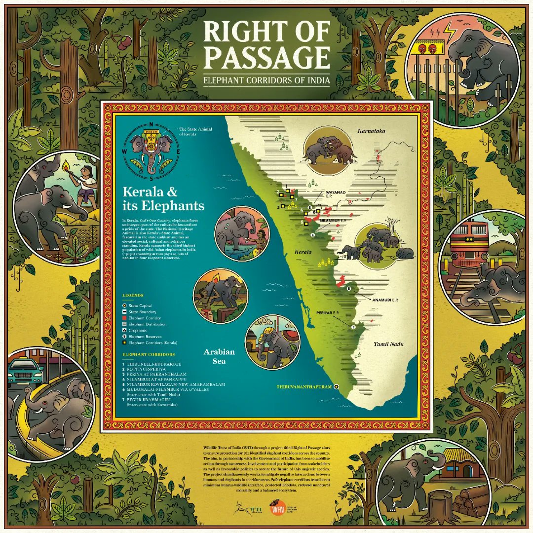 Sudarshanshaw93's tweet photo. Presenting the map of Elephant Corridors of Kerala, an illustrated narration of Right of Passage for Elephants, conceived and commissioned by WTI, launched at Gaj Utsav, Kerala on the occasion of World Elephant Day.

#WorldElephantDay #Kerala #folkindica #India #wildlife https://t.co/vSzFBK68Sj