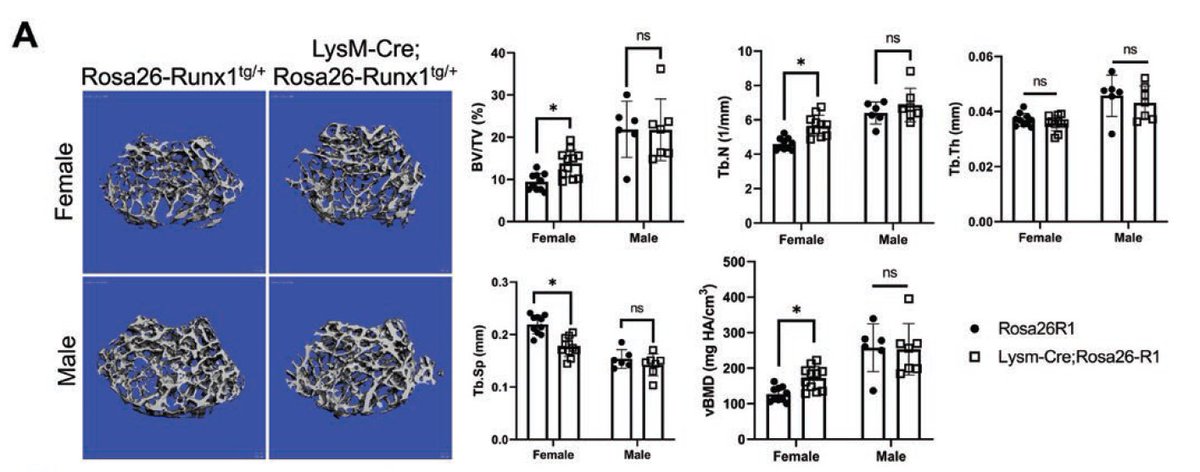 Carolyn Chlebek, PhD tweet media