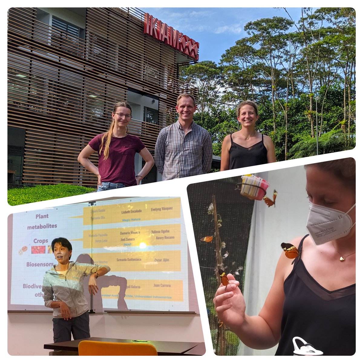 Kira Tiedge tweet media