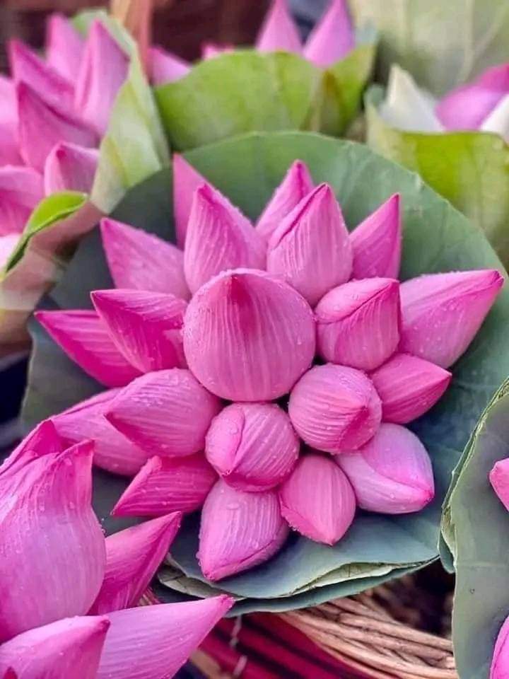 Moznumirza1's tweet photo. https://t.co/Ks6ZQIFkO2