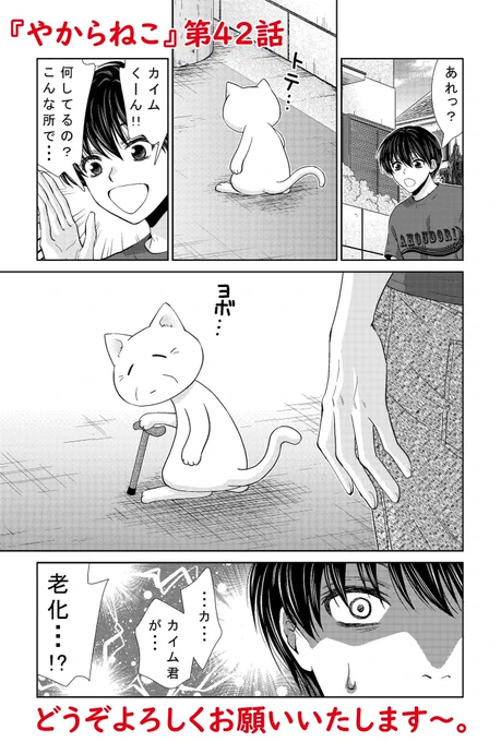 🌸宣伝です🌸

【ベツコミ9月号】本日発売です。
私も『やからねこ』という漫画を描かせていただいております。

昔は自分の誕生日を「敬老の日の前日」と説明していましたが今はソレだと通用しないんですよね。

ところで個人的には連休より飛び石連休が好きです。 