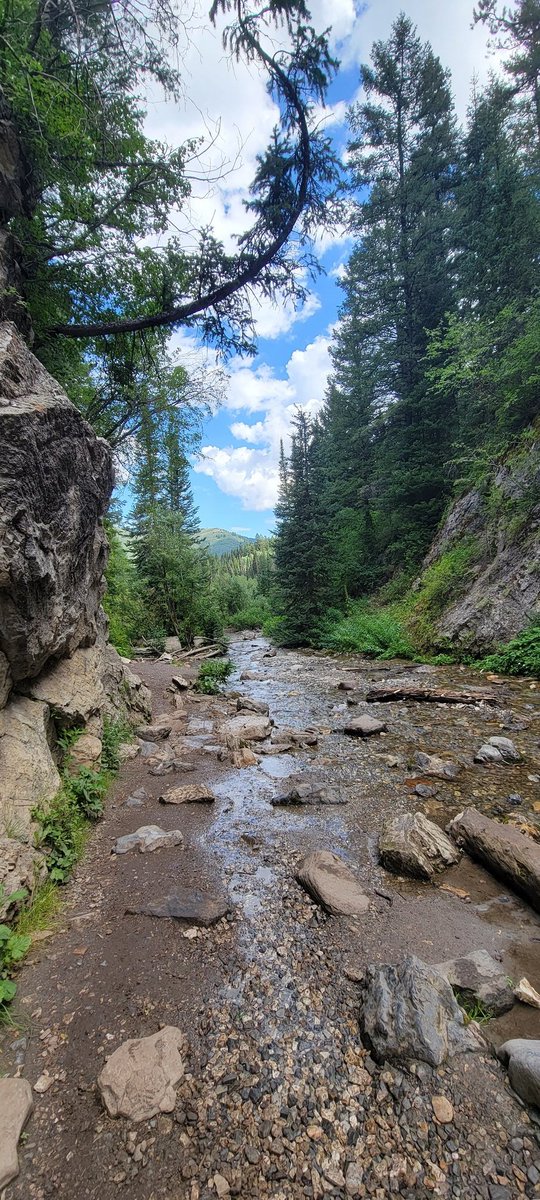 English Laboratory tweet media