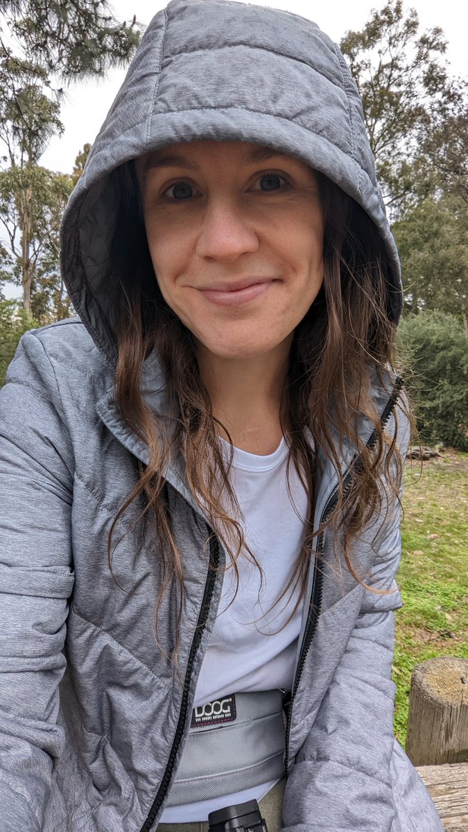 anna spargo-ryan 🍉 tweet media