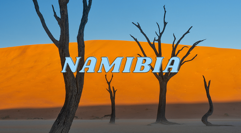 dayofgeog's tweet photo. These are Namibia's Camel Thorn Trees! They are able to survive in the harsh desert because of their deep root system. In severe droughts, many animals depend on their kidney-shaped seeds for food. 

#dayofgeography #education #students #worldgeography #careers #Namibia https://t.co/YP7YvWt5Vw