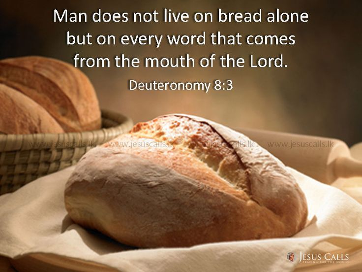 GEORGEPPP's tweet photo. It's amazing how many people own a Bible and haven't read it. Just as amazing, HAVE read it but don't believe all that is written.
#Jesus
#Bible
#Torah
#Heaven
#EternalHell
#Salvation
#Judgment https://t.co/9klcMJRhhJ