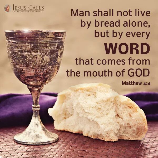 GEORGEPPP's tweet photo. It's amazing how many people own a Bible and haven't read it. Just as amazing, HAVE read it but don't believe all that is written.
#Jesus
#Bible
#Torah
#Heaven
#EternalHell
#Salvation
#Judgment https://t.co/9klcMJRhhJ