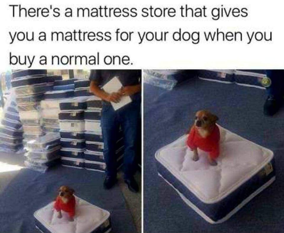 WholesomeMemes tweet media