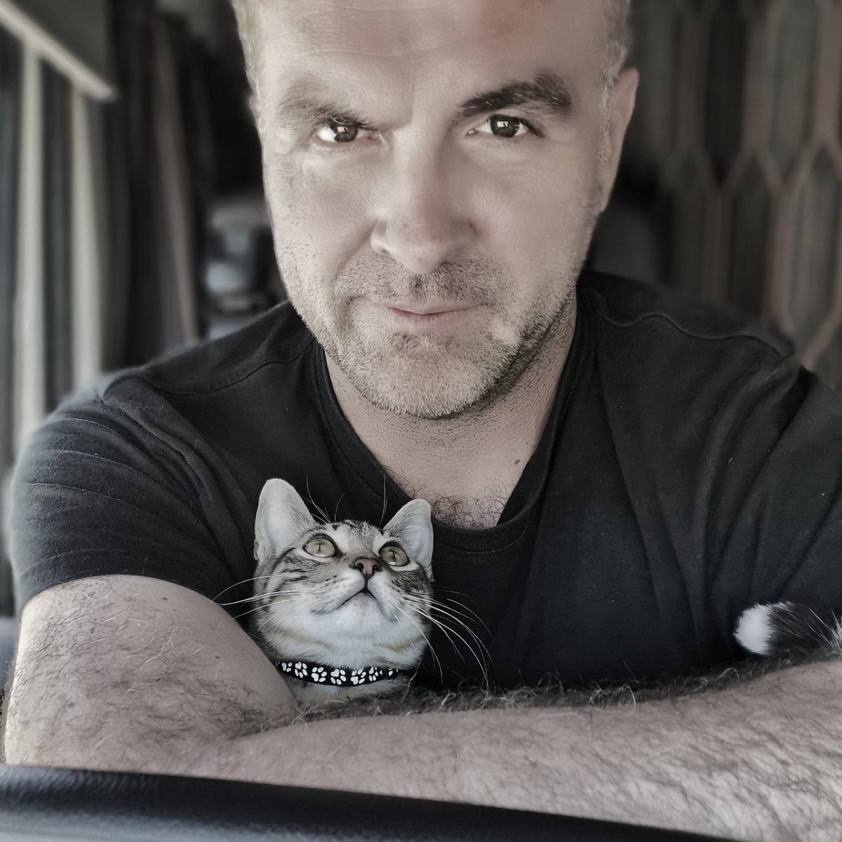flashbac76's tweet photo. My little one, Nik 🐈
#insta #huaweip30pro #huaweiphotography #selfie #mylittleone #IamNik #catsofinstagram #catlover #kitten #kittenofinstagram #catontruck #thetruckercat #gatocamionero #pets #travel #instatravel #onthego #truckerslife#greatshotz https://t.co/zab8zBiLKL